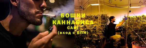 крисы Гусиноозёрск