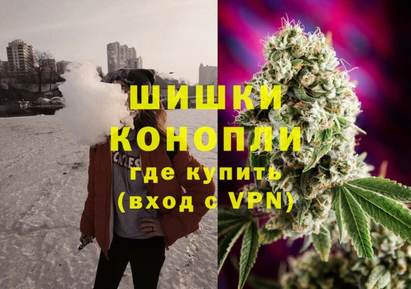 ешки Гусев