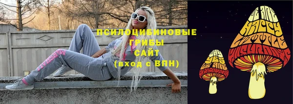 ешки Гусев