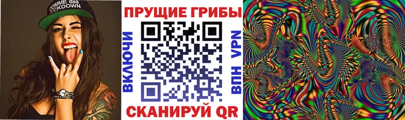 Псилоцибиновые грибы прущие грибы  Елабуга 