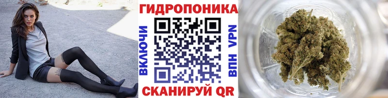 Канабис Bruce Banner Елабуга